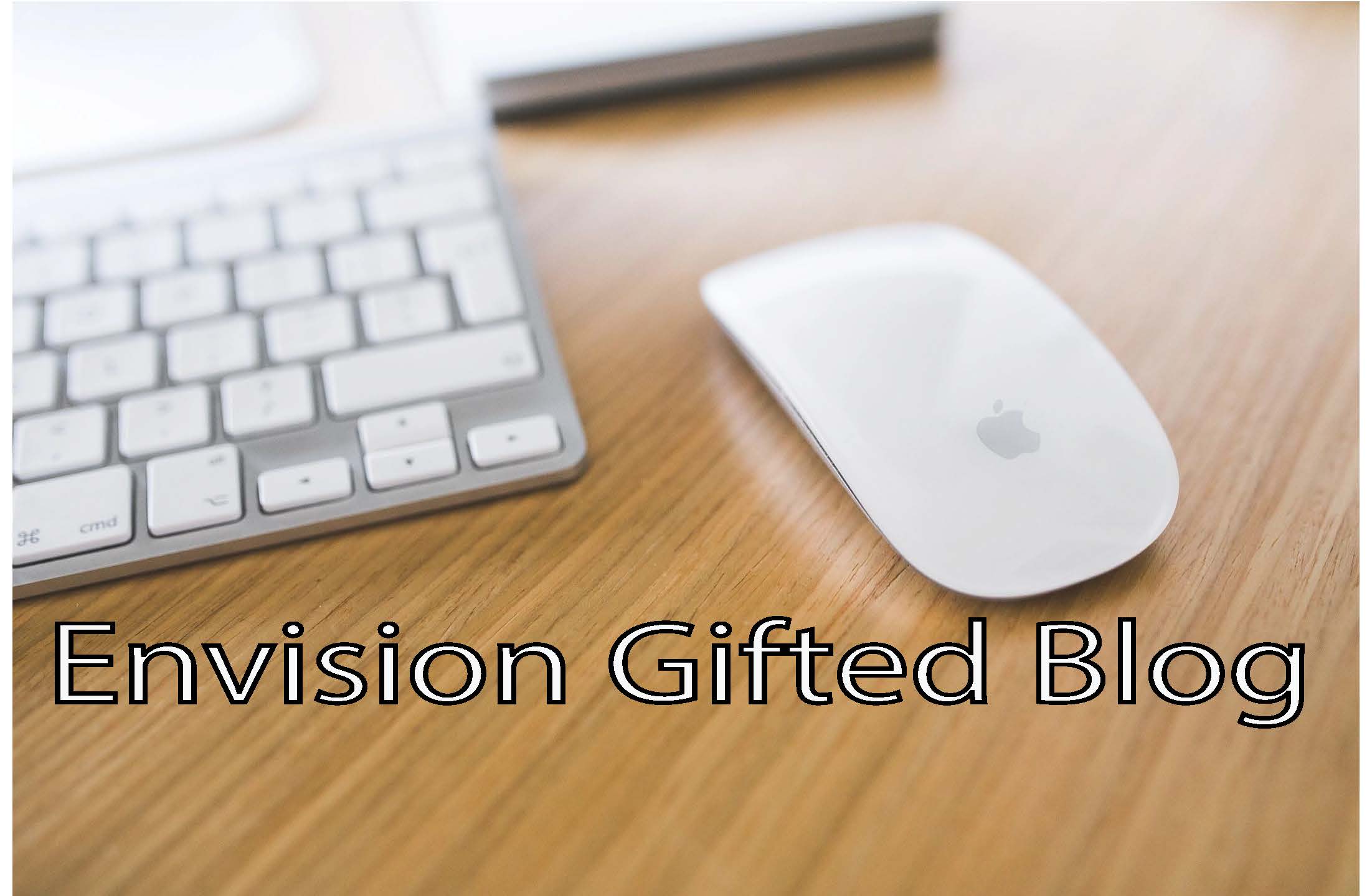 Envision Gifted Blog