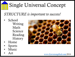 Universal Concept Structure